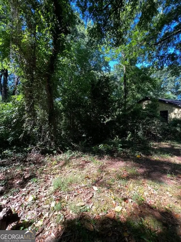 0 Dalton Street Se, Atlanta, GA 30315 - #2