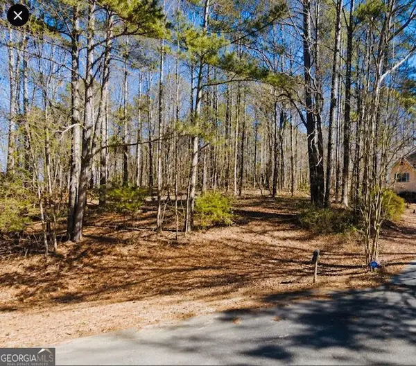 110 Bunnie Trail, Ellenwood, GA 30294