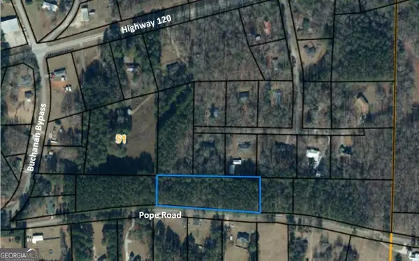 LOTS 4 & 5 Pope Road, Buchanan, GA 30113