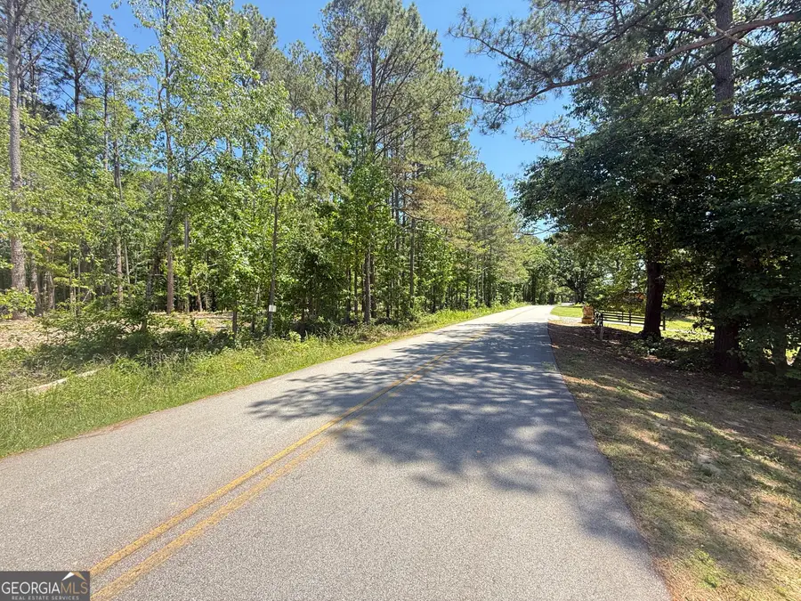 LOTS 4 & 5 Pope Road, Buchanan, GA 30113 - #2