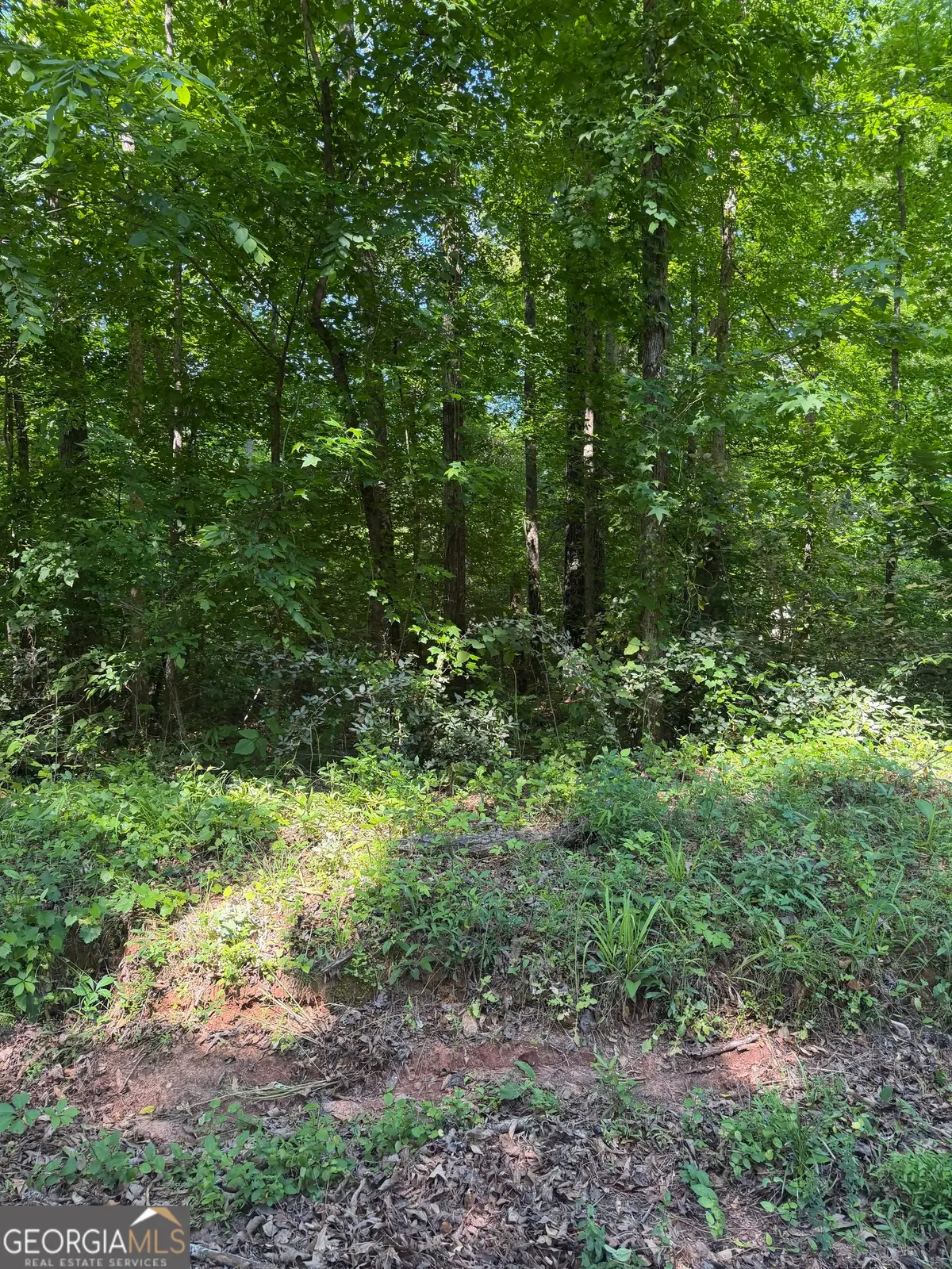 POCAHONTAS STRE Pocahontas Street, Jackson, GA 30233 - #1