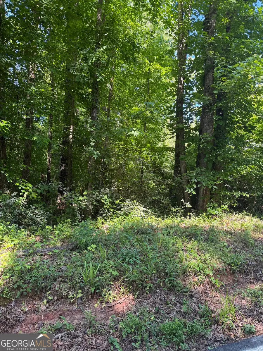 POCAHONTAS STRE Pocahontas Street, Jackson, GA 30233 - #2