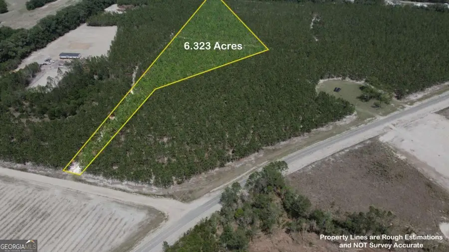 4690 Godwin Road, Blackshear, GA 31516 - #2