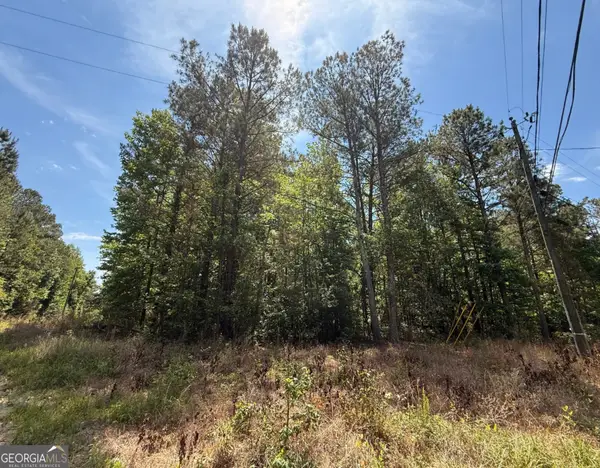 467 N Raburn Road, Bremen, GA 30110