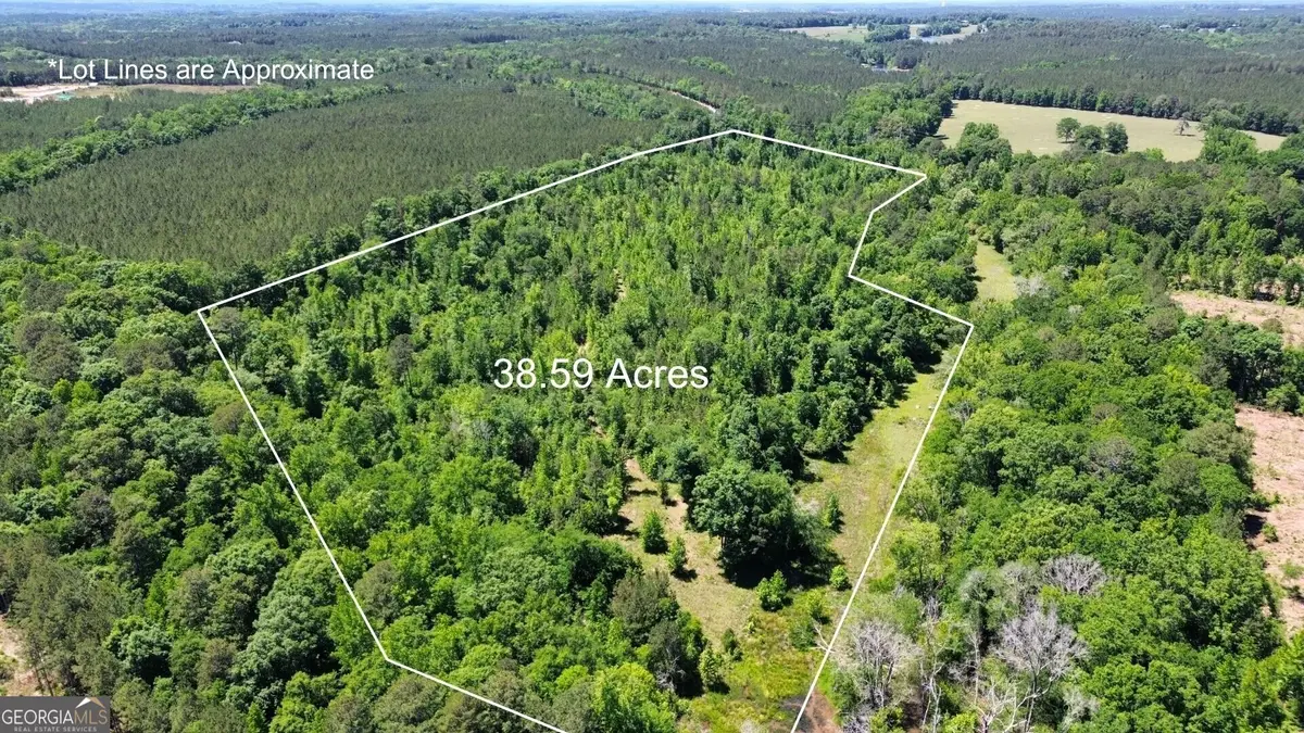 0 Leslie Mill Road, Greensboro, GA 30642 - #1