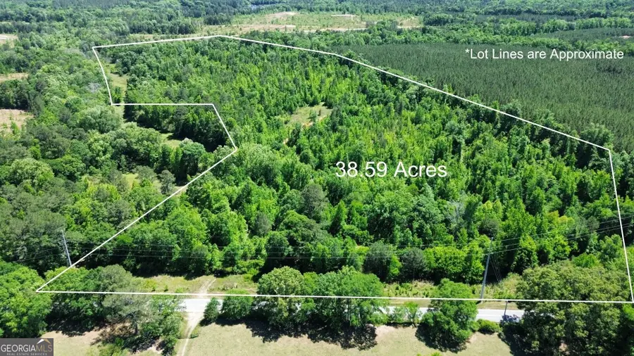 0 Leslie Mill Road, Greensboro, GA 30642 - #2
