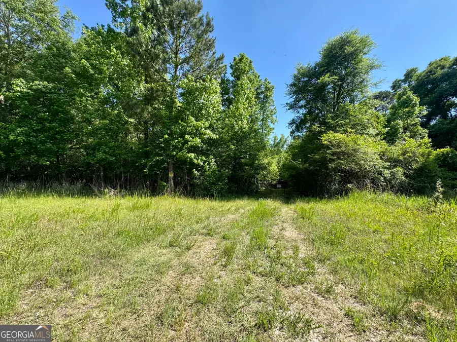 0 Leslie Mill Road, Greensboro, GA 30642 - #3