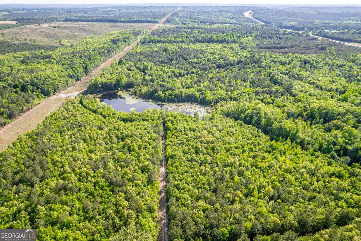 21701 Highway 441, McIntyre, GA 31054 - #1