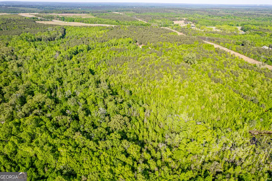 21701 Highway 441, McIntyre, GA 31054 - #2