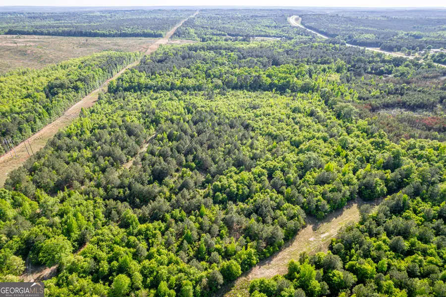 21701 Highway 441, McIntyre, GA 31054 - #3