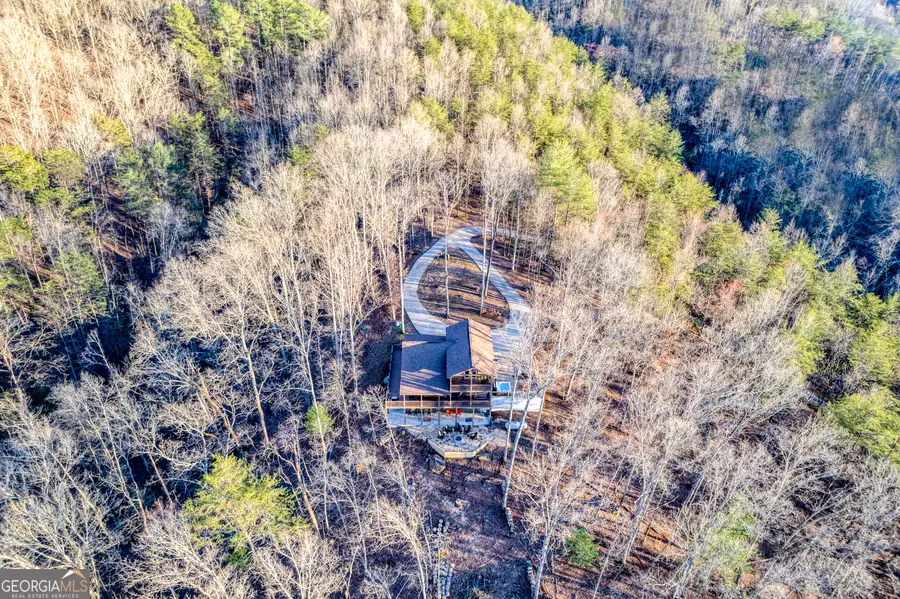 395 Packs Valley, Blue Ridge, GA 30513 - #2