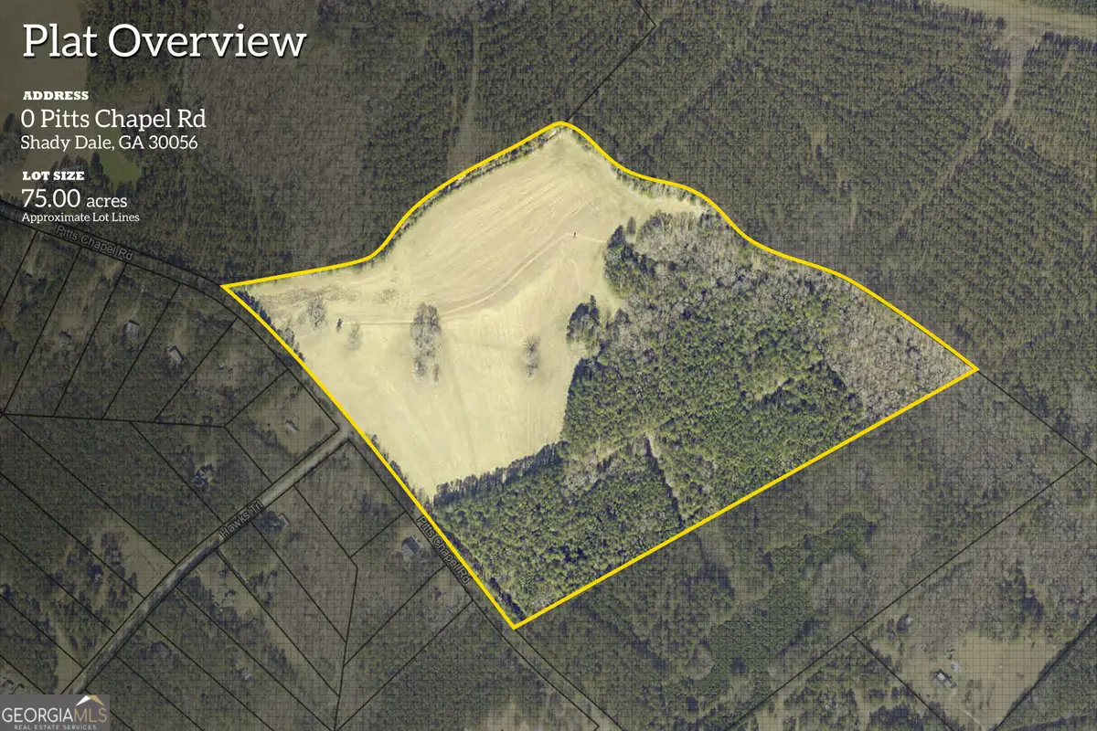 0 Pitts Chapel Road, Monticello, GA 31064 - #1