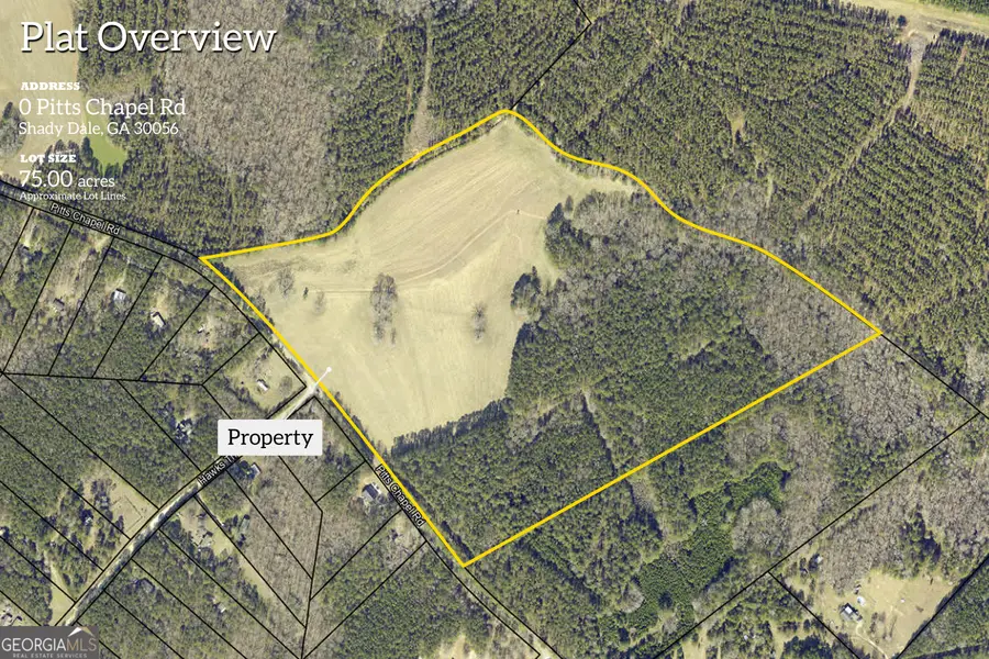 0 Pitts Chapel Road, Monticello, GA 31064 - #2