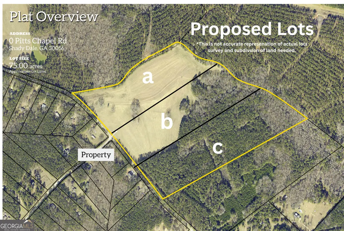 0 LOT B Pitts Chapel Road, Monticello, GA 31064 - #1