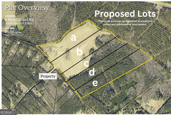 LOT D 0 Pitts Chapel Road, Monticello, GA 31064