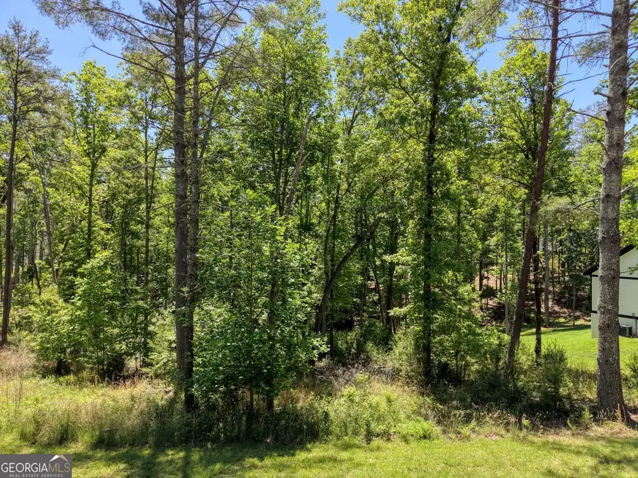 LOT 167 Highland Park, Blairsville, GA 30512 - #2