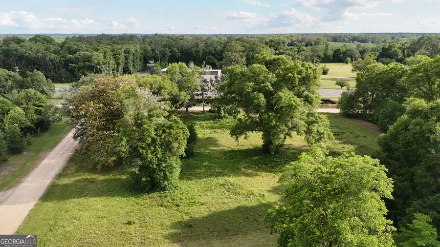 .75 ACRE Butler Street, Bainbridge, GA 39817 - #2