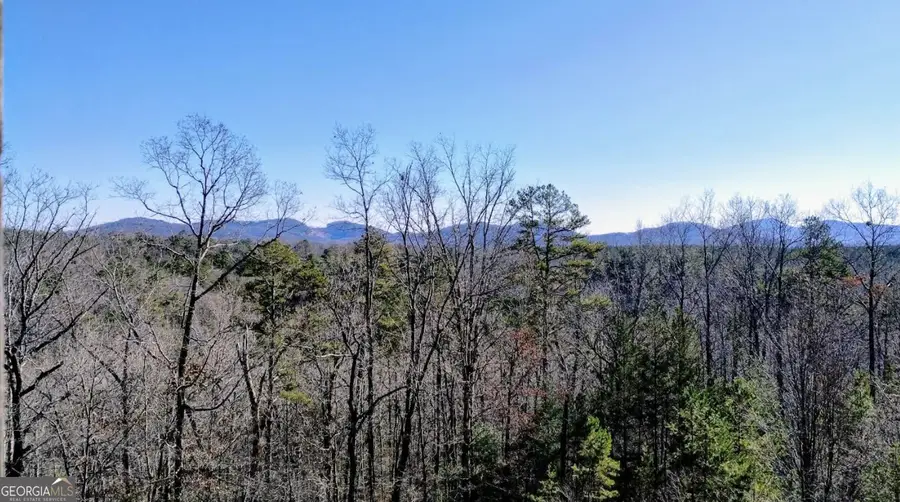 852 Martin Drive, Cleveland, GA 30528 - #2