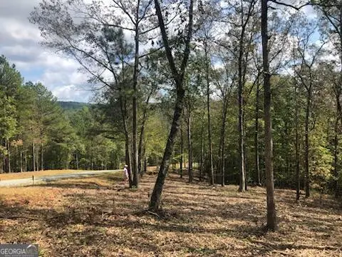 LT 90 Barrel Knot Court, Ellijay, GA 30536 - #2