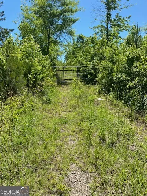 1730 N Walkers Mill Road, Griffin, GA 30223 - #1