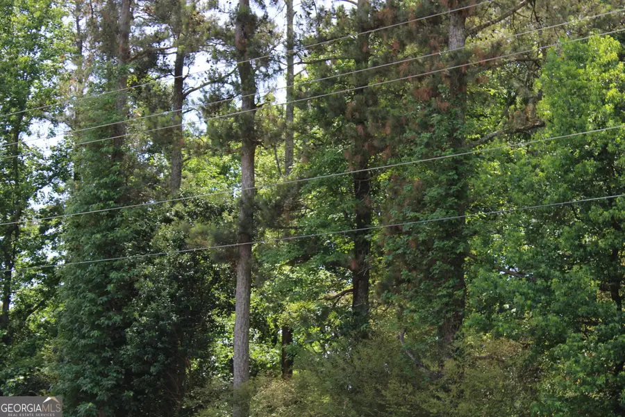 2 Neese Commerce Road, Commerce, GA 30529 - #2