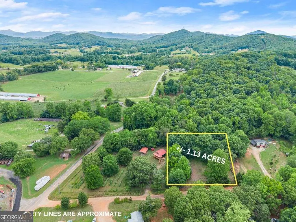 99 Rocket Drive, Cleveland, GA 30528 - #1