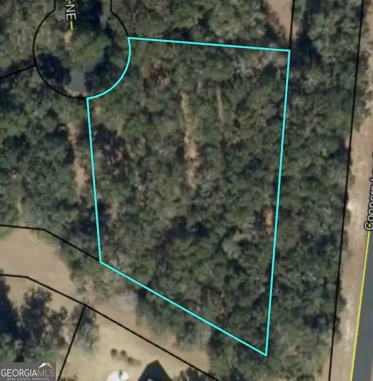 0 Blakberry Lane Ne, Townsend, GA 31331 - #1