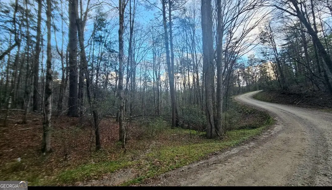 481 Mckay Road, Lakemont, GA 30552 - #1