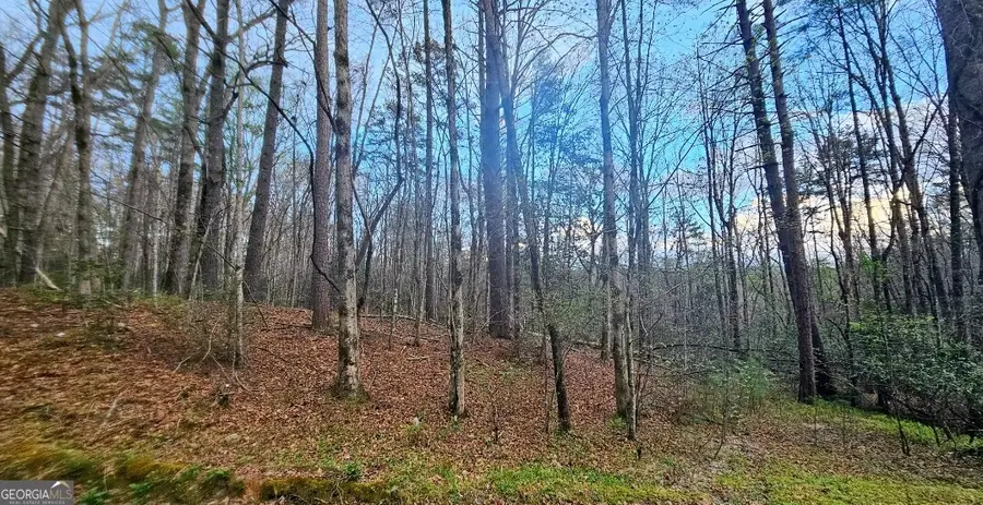 481 Mckay Road, Lakemont, GA 30552 - #2