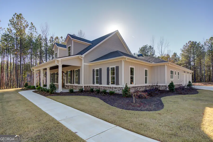 250 Bob Smith Road, Sharpsburg, GA 30277 - #2