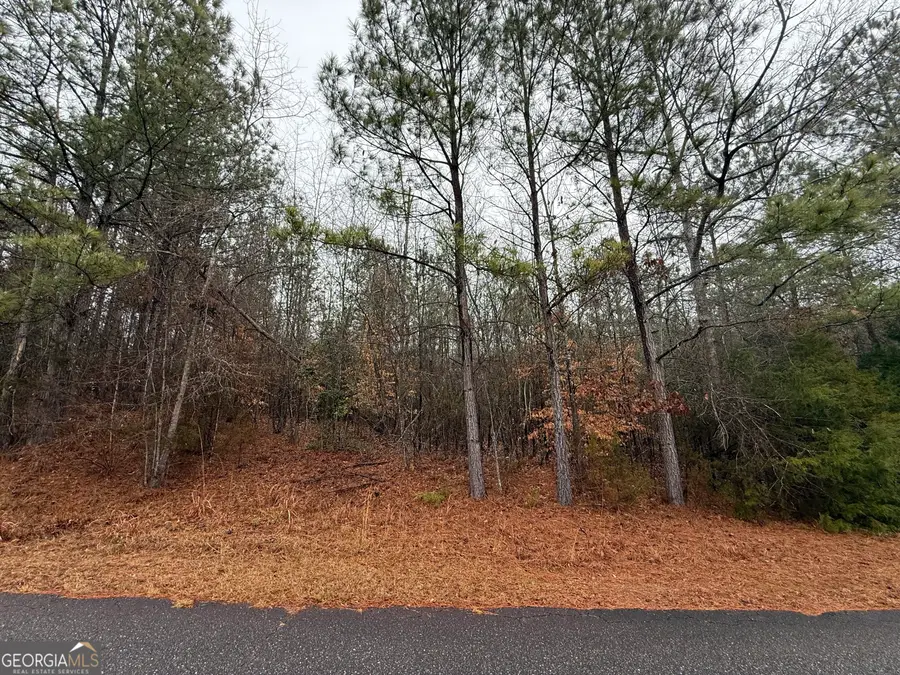 2592 Omaha Drive, Elberton, GA 30635 - #2