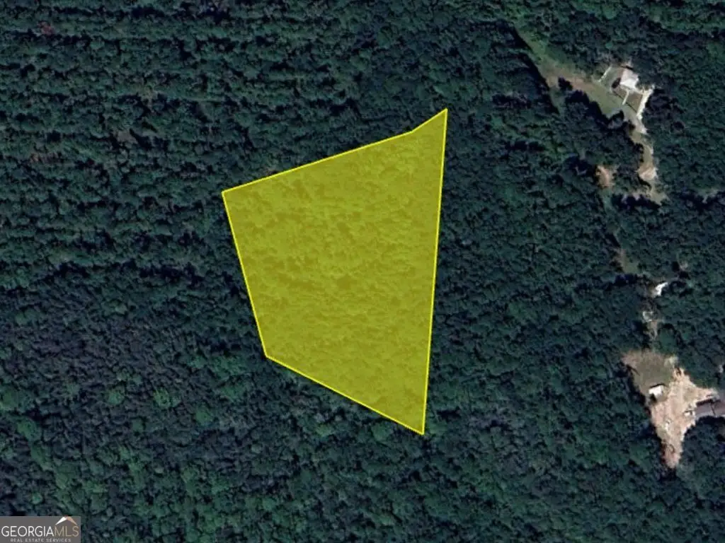 0 Old Mans Beard Road, Brunswick, GA 31523 - #1