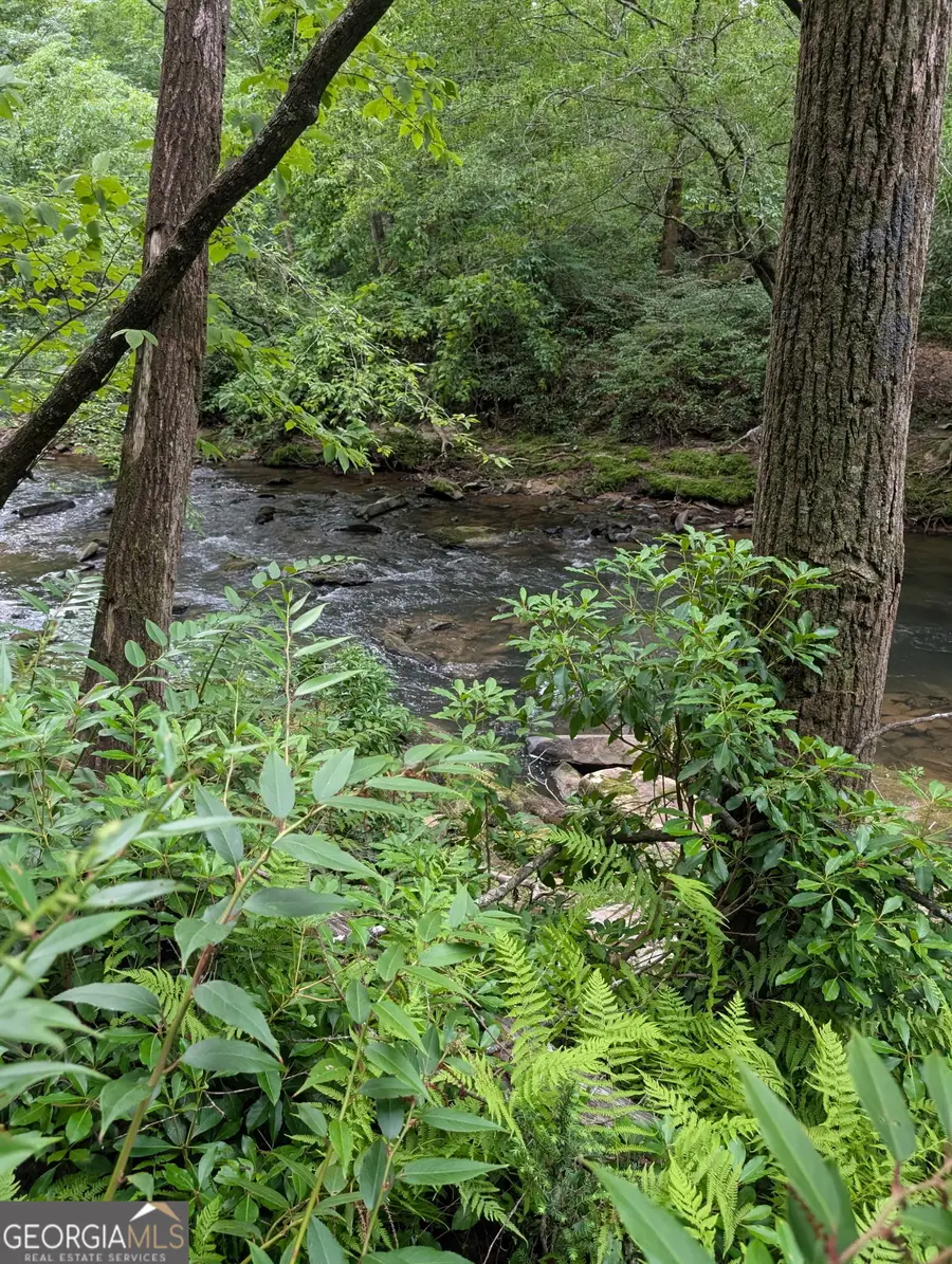 LOT 32 Byers Road, Blairsville, GA 30512 - #3