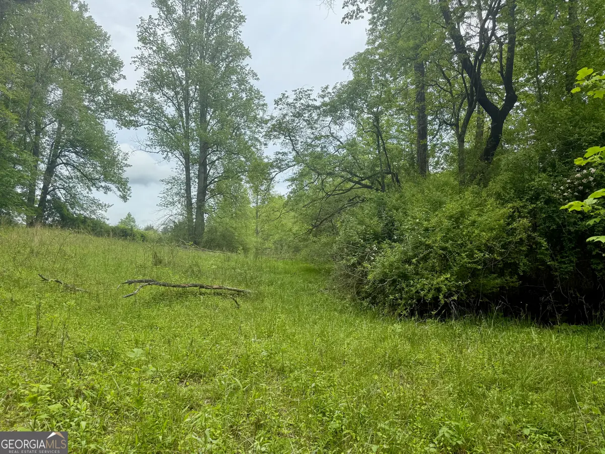 LOT 9 Peach Orchard Way, Tiger, GA 30576 - #1