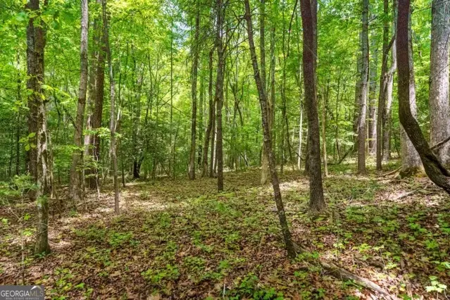 LT 32 Oceola Drive, Ellijay, GA 30540 - #2