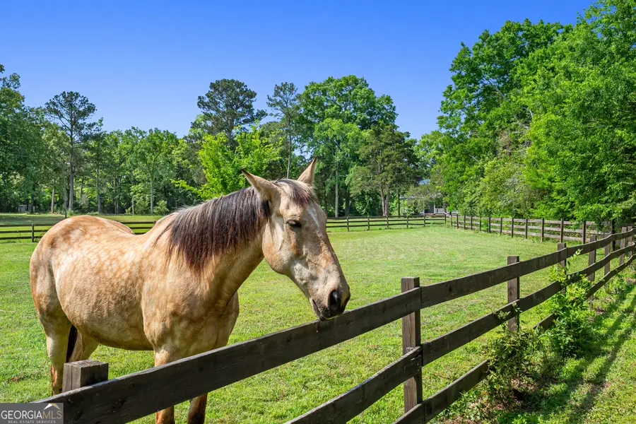 1055 Bobby Brown State Park Road, Elberton, GA 30635 - #3