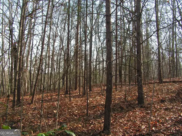 0 Mount Pleasant Church Road, Cleveland, GA 30528