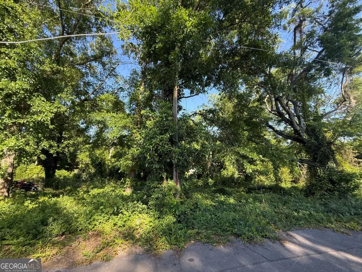 0 Hopewell Street, Rome, GA 30161 - #1