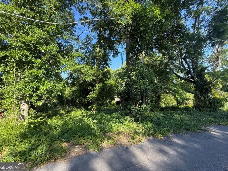 0 Hopewell Street, Rome, GA 30161 - #2
