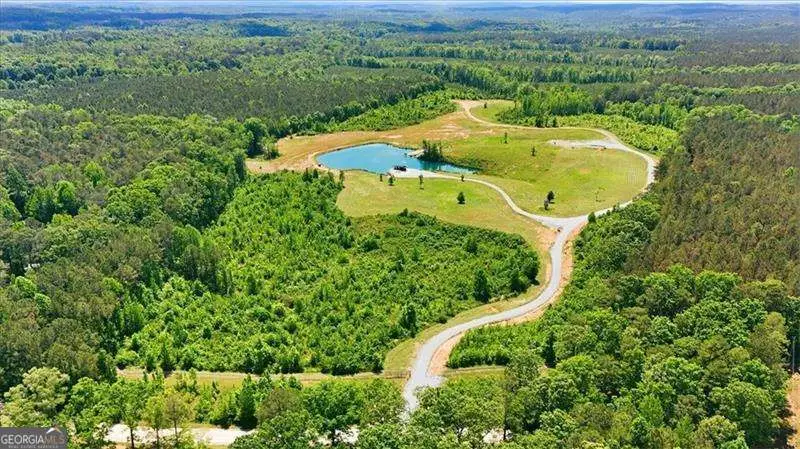 118 Folsom Road, Tallapoosa, GA 30176 - #1