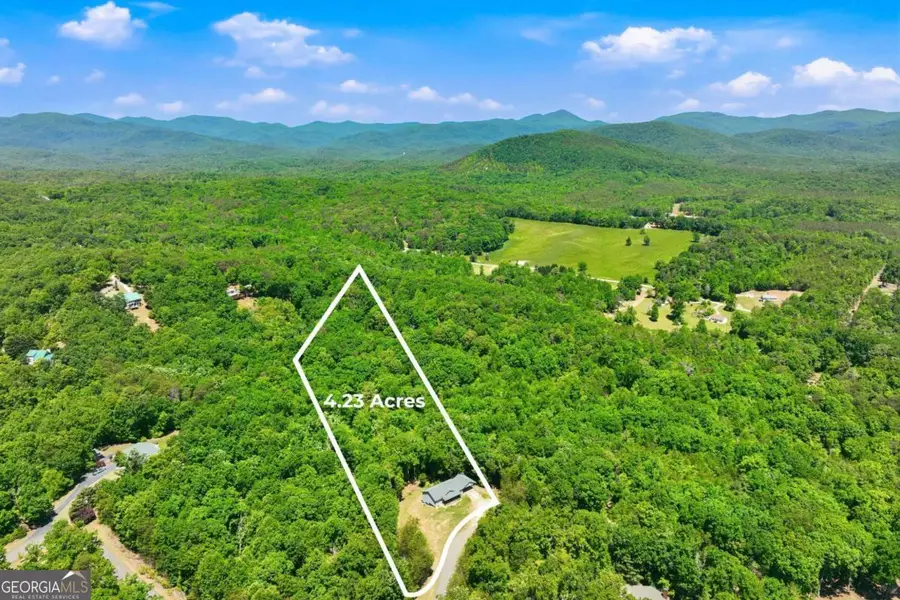 603 Gold Flume Way, Cleveland, GA 30528 - #2