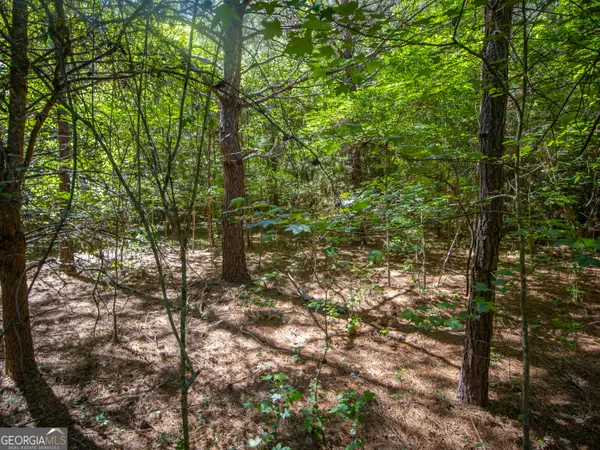 10.5 ACRES Bronco Road, Lafayette, GA 30728