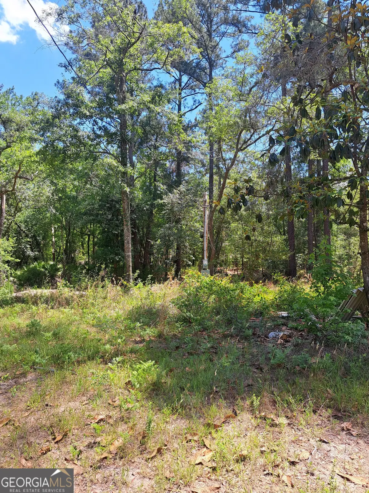 608 Bass Road, Reidsville, GA 30453 - #1