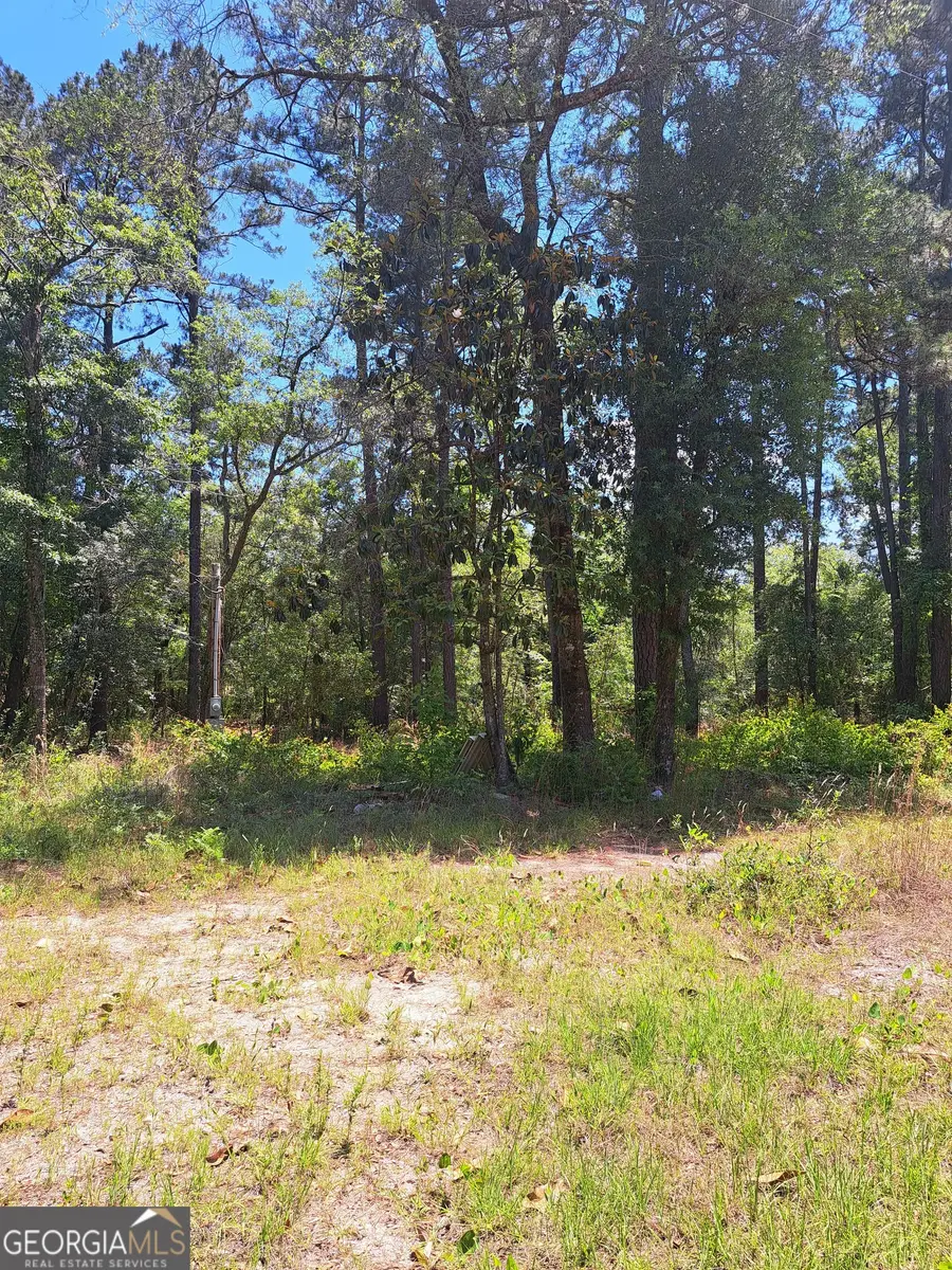 608 Bass Road, Reidsville, GA 30453 - #2