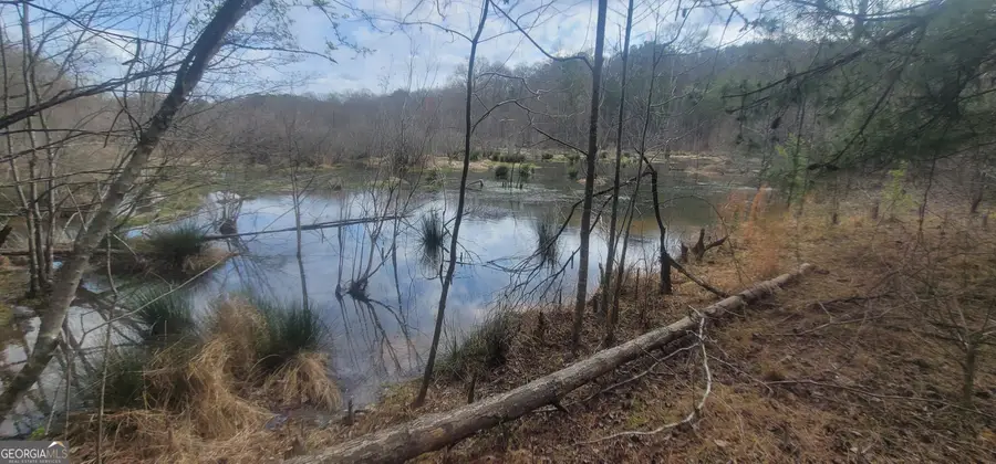 306 Patterson Road, Griffin, GA 30223 - #2