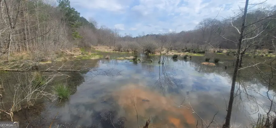 306 Patterson Road, Griffin, GA 30223 - #3