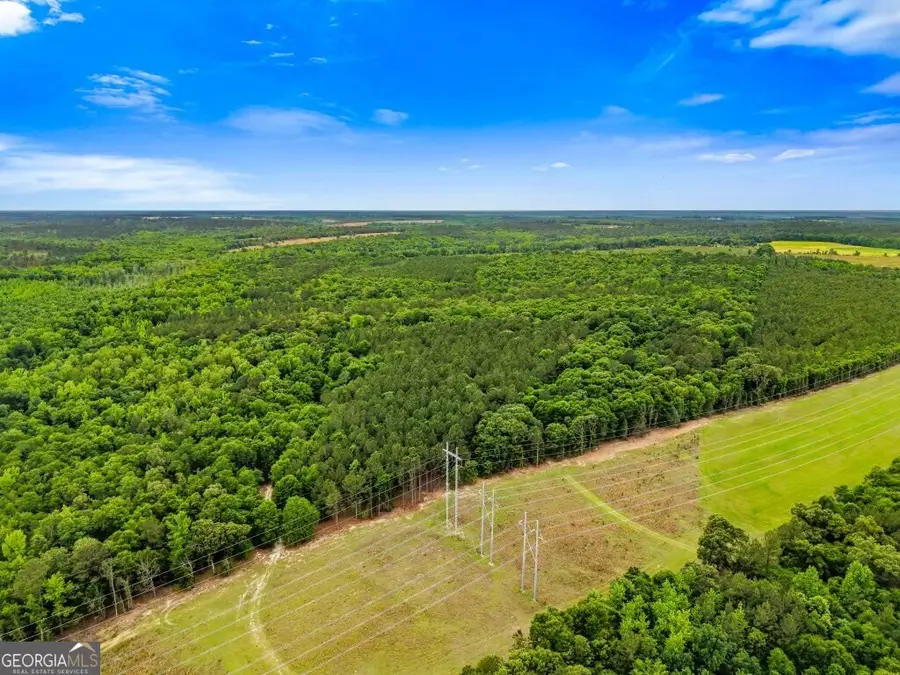 0 River Road, Waynesboro, GA 30830 - #2