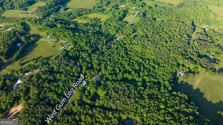 TR 1&2 W Gum Log Road, Warne, NC 28909 - #2