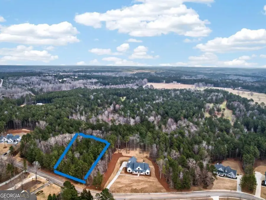 2010 Clearwater Drive, White Plains, GA 30678 - #3