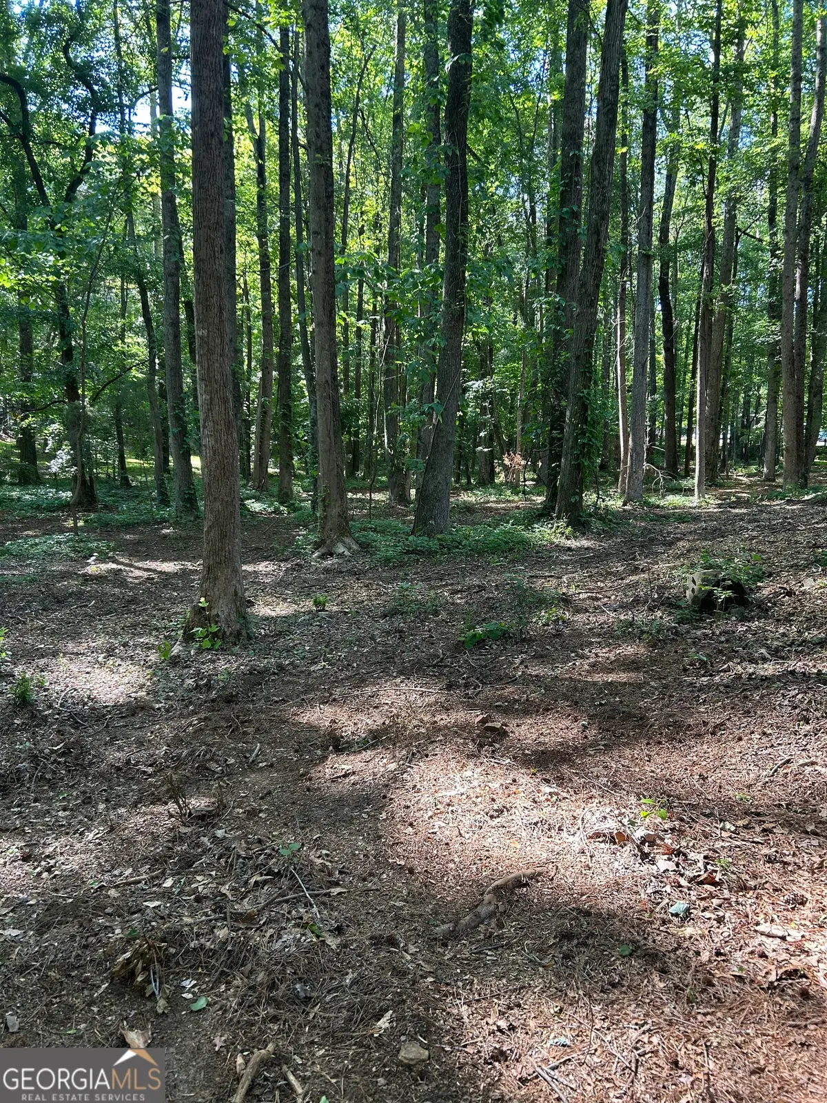 46 Davis Road, Hiram, GA 30141 - #1